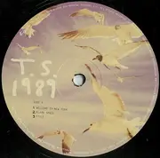 Double LP - Taylor Swift - 1989