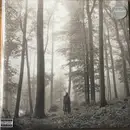 Double LP - Taylor Swift - Folklore - Deluxe Edition, Beige