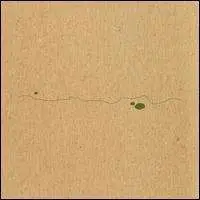 Taylor Deupree - Shoals