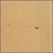 Taylor Deupree - Shoals
