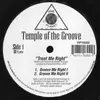 2 x 12inch Vinyl Single - Temple Of The Groove - Treat Me Right