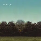 TEMPLES - Mesmerize Live