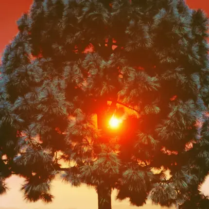 Temps Des Nuits - C'était Le Soleil