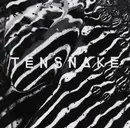 12'' - Tensnake - Keep On Walking