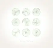 Ryan Teague - Field Drawings