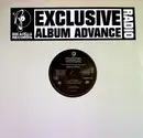 Double LP - Teairra Mari - Roc-A-Fella Records Presents Teairra Marí