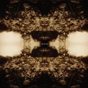 CD - Teargas & Plateglass - Black Triage