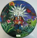 Picture Disc - Tears For Fears - Advice For The Young At Heart - Numbered, Picture Disc