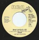 7inch Vinyl Single - Tease - What Should I Do