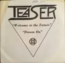 7inch Vinyl Single - Teaser - Welcome To The Future / Dream On