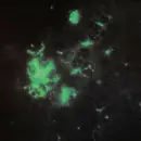 12inch Vinyl Single - Tecture - Anomalous Materials - EP