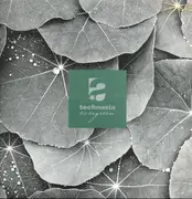 12inch Vinyl Single - Technasia - Evergreen