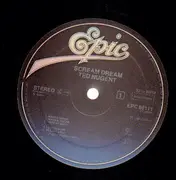 LP - Ted Nugent - Scream Dream