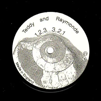 Ted & Ray - Songs For The Road