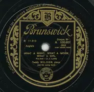 Teddy Wilson, Piano And His Swing Band - What A Night, What A Moon, What A Girl / It's Too Hot For Words
