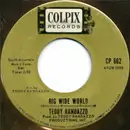 7inch Vinyl Single - Teddy Randazzo - Big Wide World / Be Sure My Love