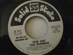 Teddy Sommer - Feelin' Good