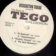 Tego Calderón - Reggaeton Traxx Presents The Best Of Tego Calderon