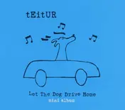 Teitur - Let the Dog Drive Home