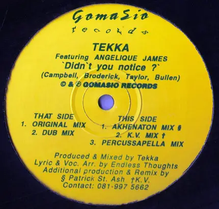 Tekka Featuring Angelique James - Didn't You Notice ?