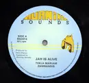 12inch Vinyl Single - Tekla Mariam , Zabandis - Jah Is Alive / Freedom Fighter