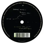 12inch Vinyl Single - Telefon Tel Aviv - Immolate Yourself Remixes - EP