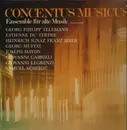 LP - Telemann, Du Tertre, Biber,.. - Concentus Musicus