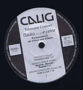 LP - Telemann~Consort - Flauto ... E Cetra   Kammermusik Mit Flöten Und Zithern