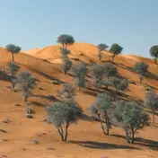 Teleseen - Exposures