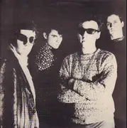 LP - Television Personalities - The Painted Word