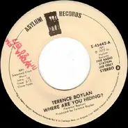 Terence Boylan - Where Are You Hiding?