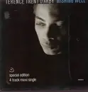 12'' - Terence Trent D Arby - Wishing well
