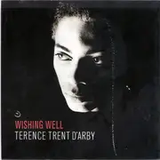 7inch Vinyl Single - Terence Trent D'Arby - Wishing Well