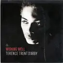 7inch Vinyl Single - Terence Trent D'Arby - Wishing Well