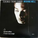 12'' - Terence Trent D'Arby - Wishing Well