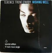 12'' - Terence Trent D'Arby - Wishing Well