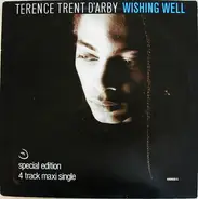 Terence Trent D'Arby - Wishing Well