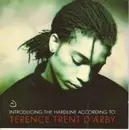CD - Terence Trent D'Arby - Introducing The Hardline According To Terence Trent D'Arby