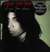 12inch Vinyl Single - Terence Trent D'Arby - Sign Your Name