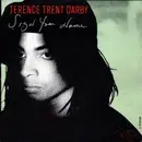 7inch Vinyl Single - Terence Trent D'Arby - Sign Your Name