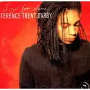 12inch Vinyl Single - Terence Trent D'Arby - Sign Your Name