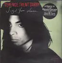12inch Vinyl Single - Terence Trent Darby - Sign Your Name