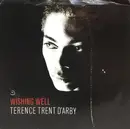 7inch Vinyl Single - Terence Trent D'Arby - Wishing Well