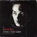 7inch Vinyl Single - Terence Trent D'Arby - Wishing Well - Poster Sleeve