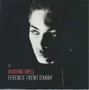 7'' - Terence Trent D'Arby - Wishing Well
