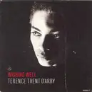 7'' - Terence Trent D'Arby - Wishing Well