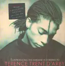 LP - Terence Trent D'Arby - Introducing The Hardline According To