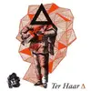 LP - Ter Haar - Delta