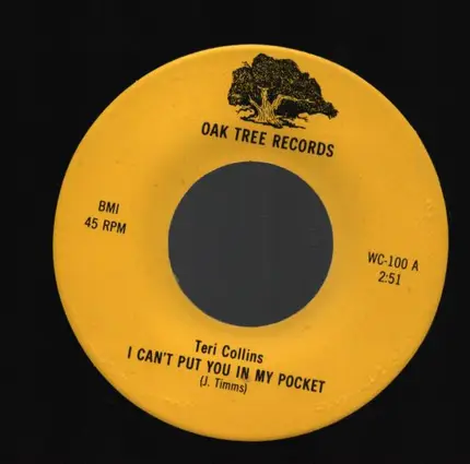 Teri Collins - I can't put you in my pocket