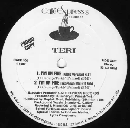 Teri - I'm On Fire
